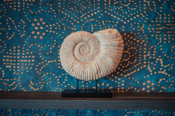 Nautilus Reception